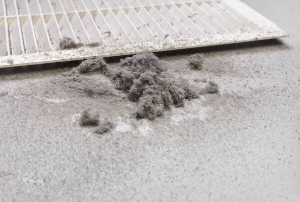 Best Affordable HVAC Duct Cleaning  in Ly Lake, IL