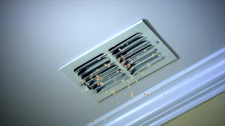 Best Home Air Vent Cleaning  in Ly Lake, IL
