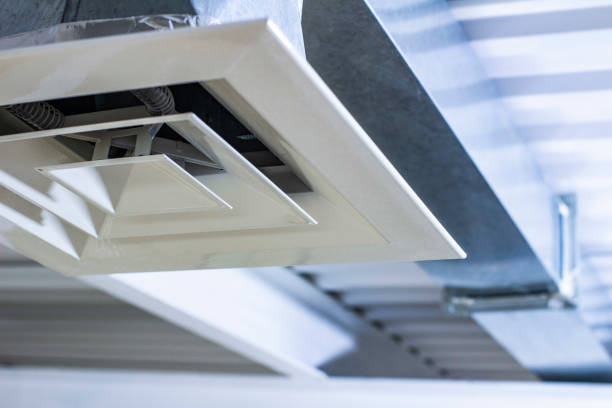 Best Air Duct Cleaning Near Me  in Ly Lake, IL