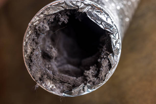 Best Air Duct Cleaning Near Me  in Ly Lake, IL