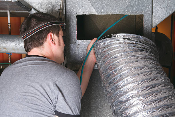 Best Affordable Duct Cleaning Services  in Ly Lake, IL