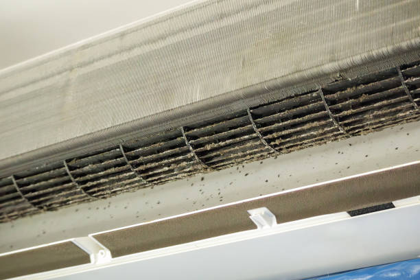 Best HVAC System Cleaning  in Ly Lake, IL