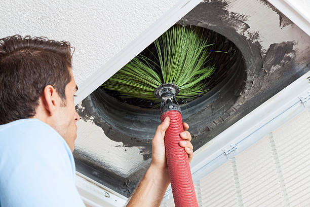 HVAC System Cleaning in Lily Lake, IL