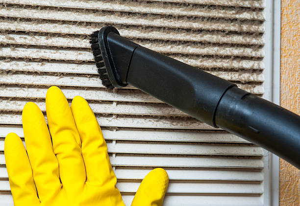 Best Residential Air Duct Cleaning  in Ly Lake, IL